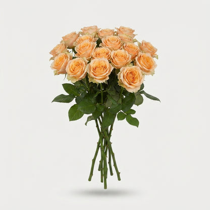 Spray Rose - Rosa - Trinity