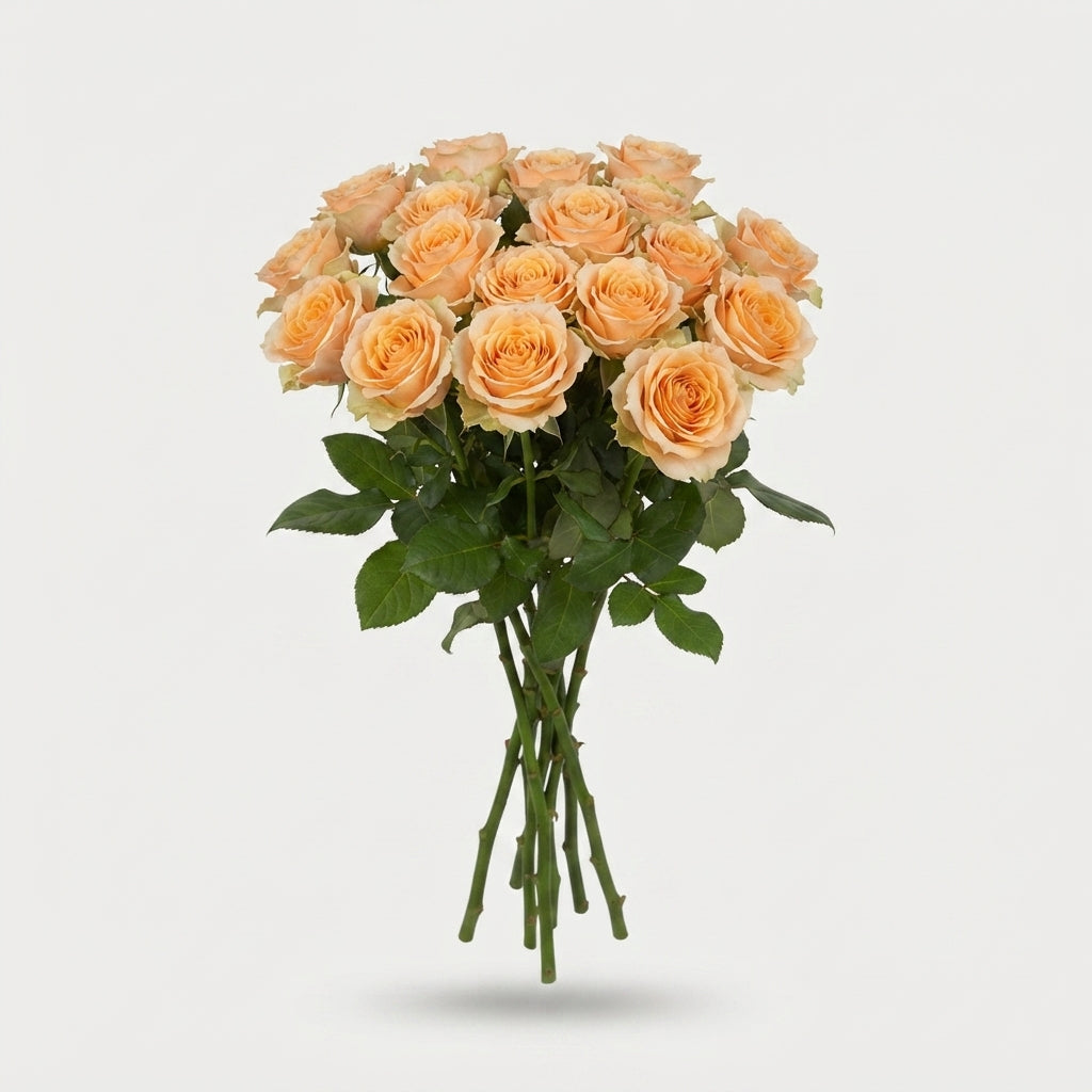 FeedSync:wholesale:ec9ea0172080f70898e51b49036d7305e6893c01