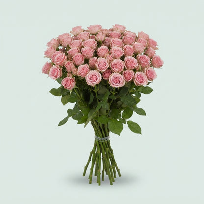 Spray Rose - Rosa - Severina