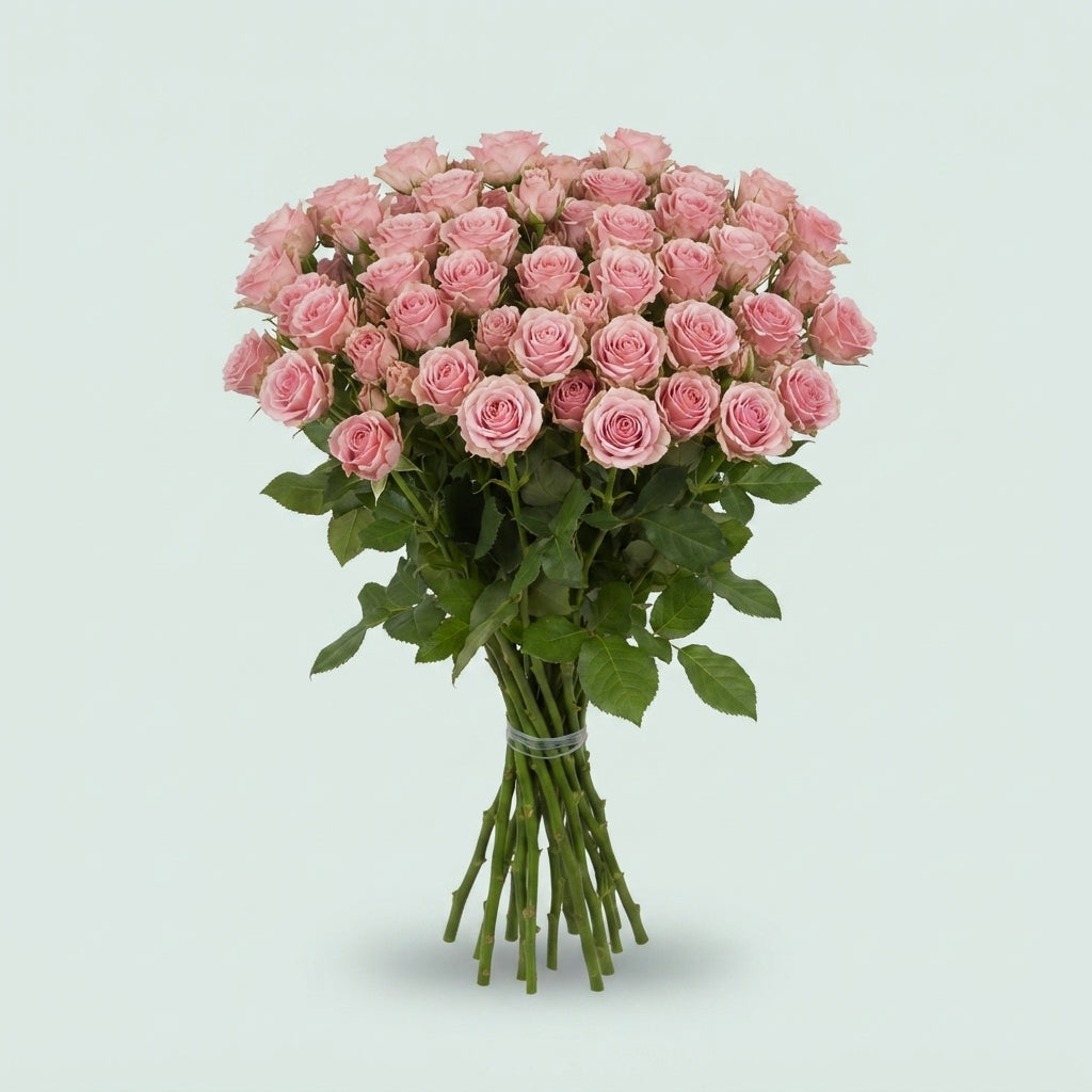FeedSync:wholesale:11f90e9be579847c87a19707e4dedcf4cb25dfa9