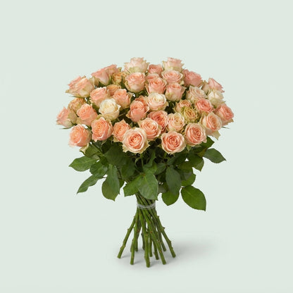 Spray Rose - Rosa - Sancerre