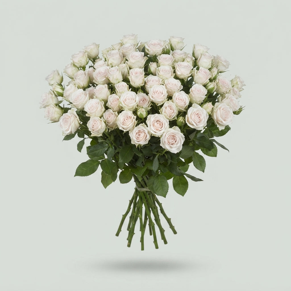 FeedSync:wholesale:88ca3d8d64bcb615735a7a0eff21958e462060a6