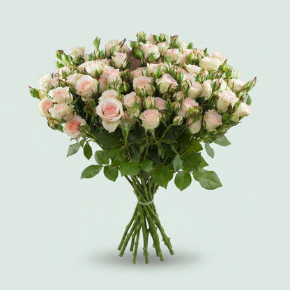 FeedSync:wholesale:f5d0909980d4442a864aade82e52de2698c430c3