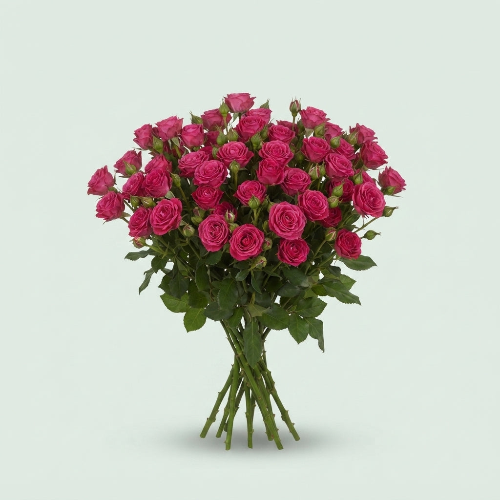 FeedSync:wholesale:04b0cd388b79f219bb091733e32b8c0aa351d8cb