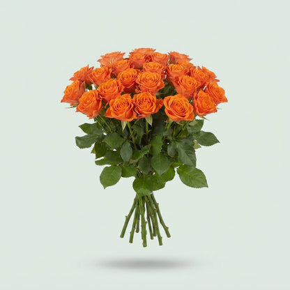 FeedSync:wholesale:0155b5d69e0bd19111ca6b4330cb8f72c1c44033
