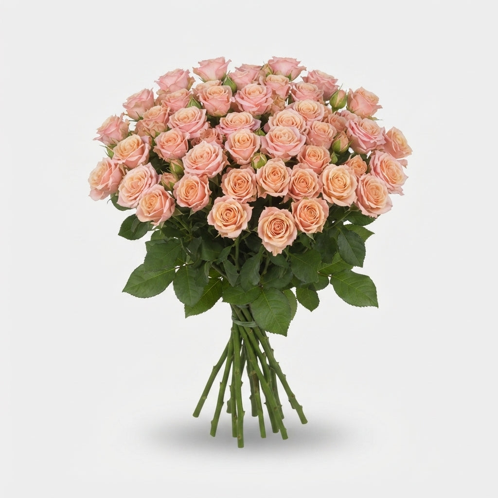 FeedSync:wholesale:6fa554da108fd53a98f3150f9e2b4bf3fe8e616e