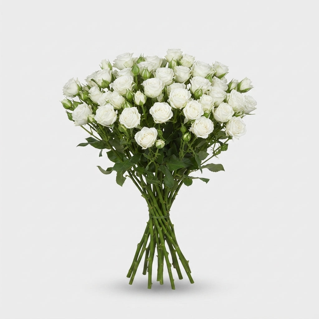 FeedSync:wholesale:65558b343e3dbe34fc46673a01b64541561fbae7