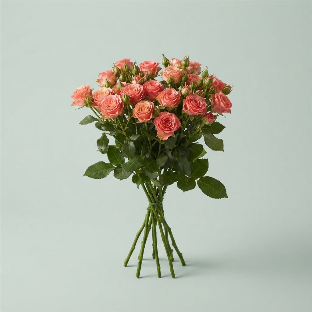 FeedSync:wholesale:5ac0b74b65559497b8552ae94a916af67be3c8cb