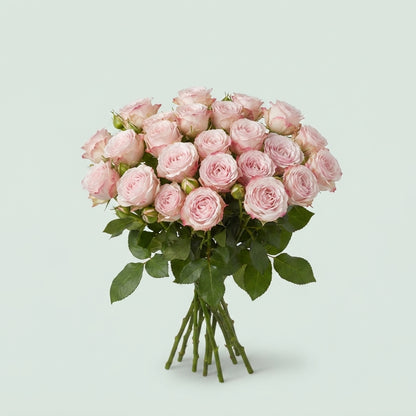 FeedSync:wholesale:6f8415c69458b2710dbd2126c4c254108ee07346