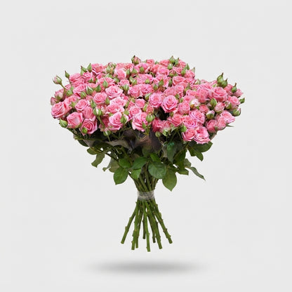 Spray Rose - Rosa - Emilia