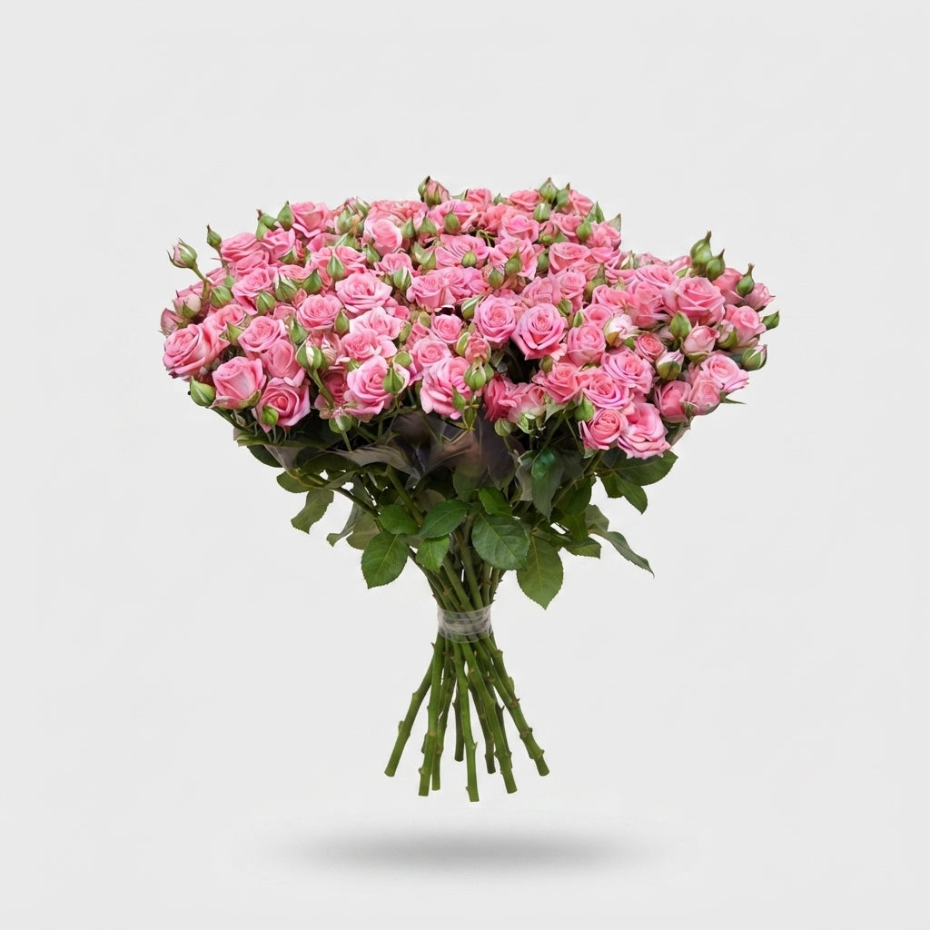FeedSync:wholesale:38ddf5a1c4bf558f96aea37a1b8c9c4243c70780