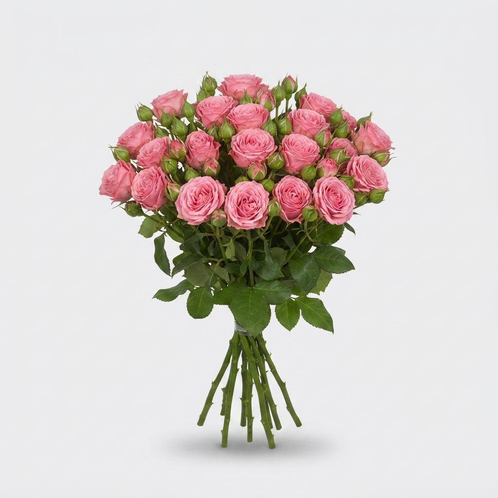 FeedSync:wholesale:626aa23777187c195999a5850ad35bec3bd7bea6