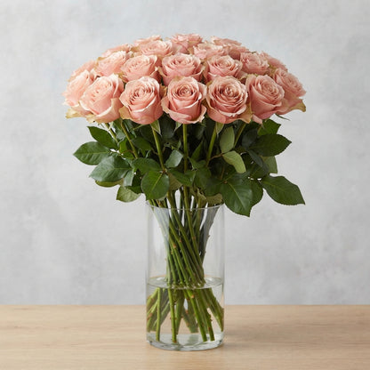 FeedSync:wholesale:5ed098ce18cd000d05951905efe54c06012933a5