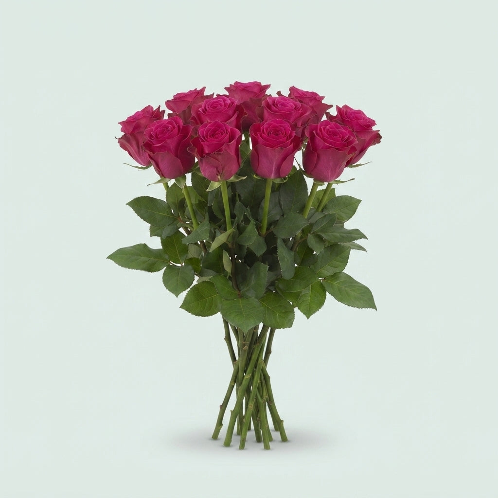 FeedSync:wholesale:6463960aef74caa1b9e866df4571391929871c06
