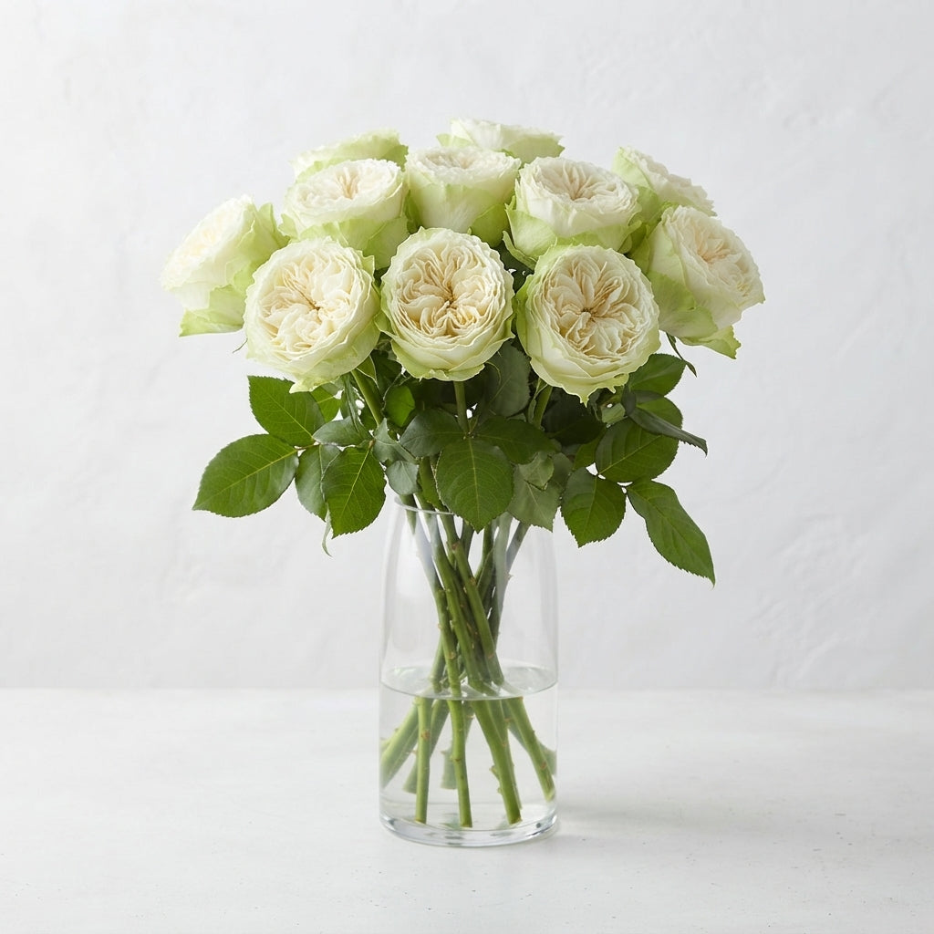 FeedSync:wholesale:f7bc8afb7b657b1277a93f1cb4331500509abd62