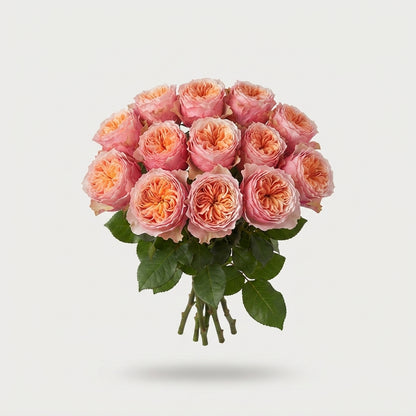Rose - Rosa - Vuvuzela