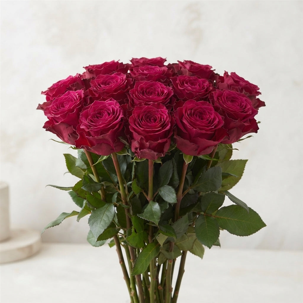 FeedSync:wholesale:e419f5034e64c47727c1790cb6320229724f409f