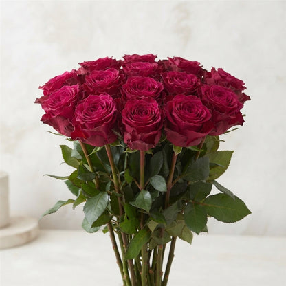 FeedSync:wholesale:e419f5034e64c47727c1790cb6320229724f409f