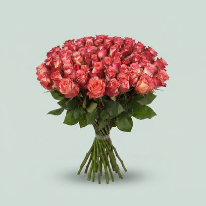 Rose - Rosa - Spark Condor