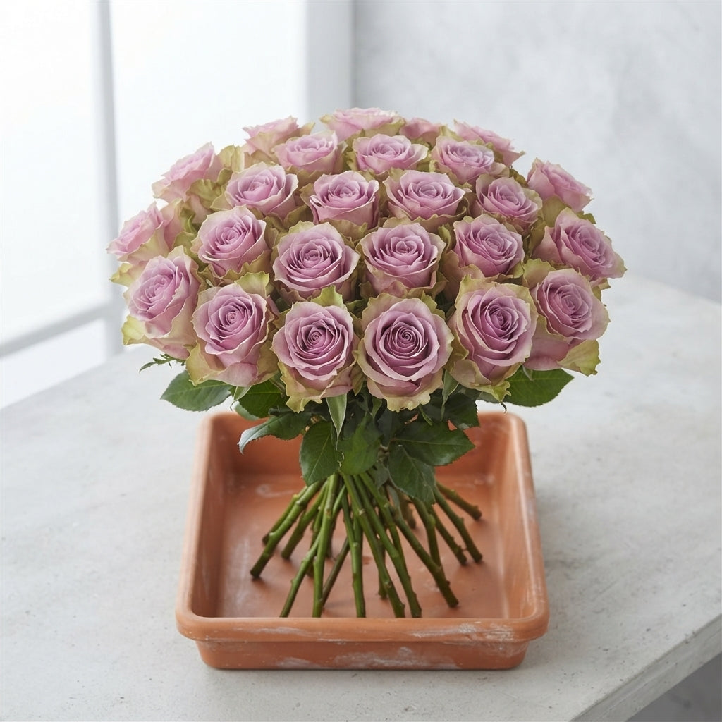 FeedSync:wholesale:dd0e33d783055f58e427123c0ff080f865dfa1f7