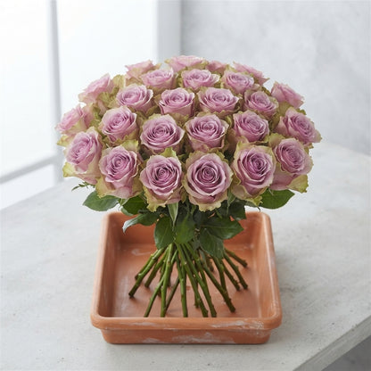 FeedSync:wholesale:dd0e33d783055f58e427123c0ff080f865dfa1f7