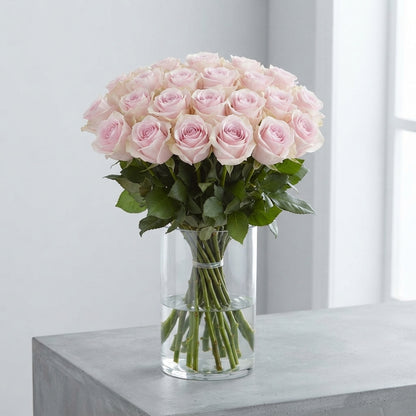 FeedSync:wholesale:e0344d55e2877ba32c1b96b4cb5228b32f179aeb
