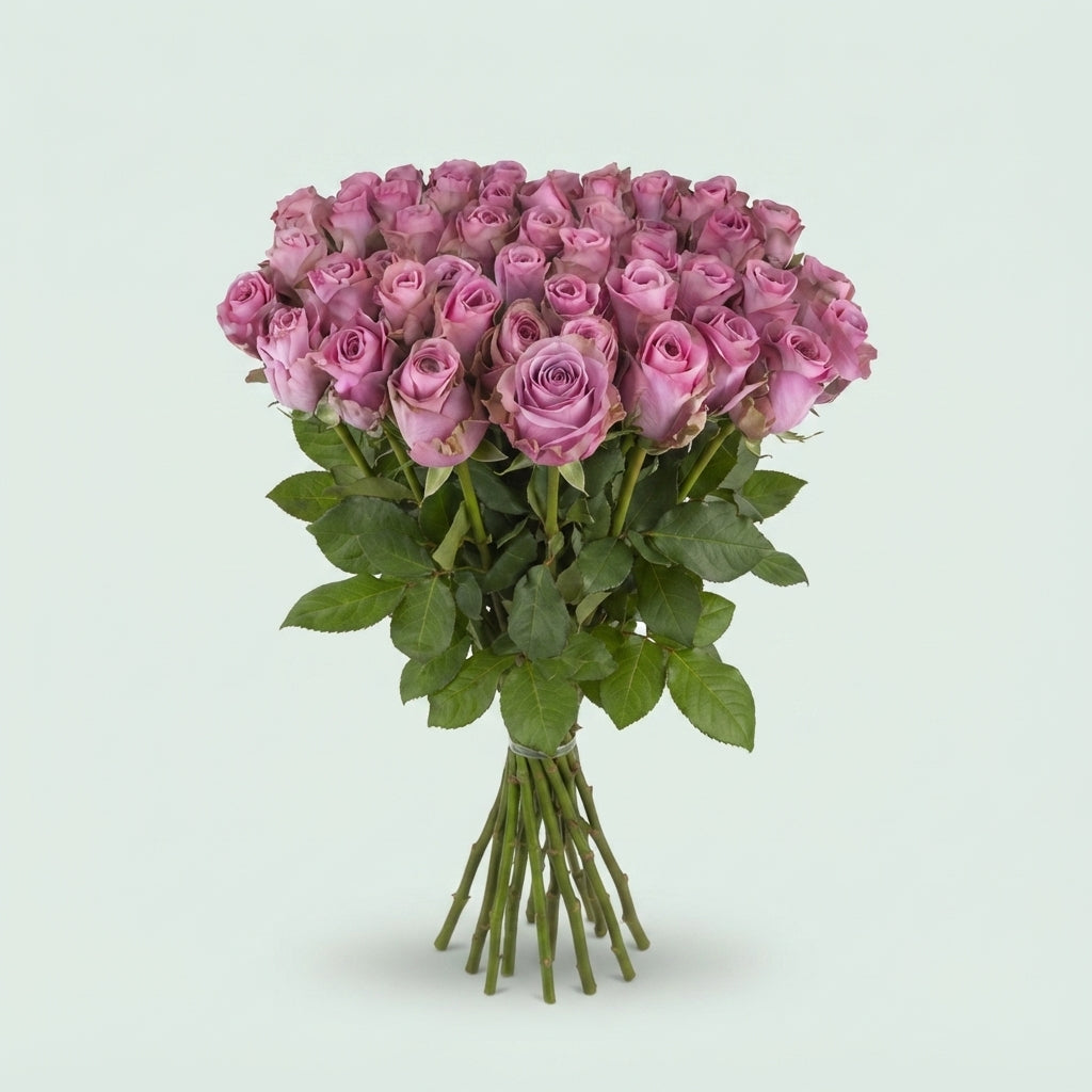 FeedSync:wholesale:33de30bcf1ce12c4e4dc7147879e84f4009ec03c