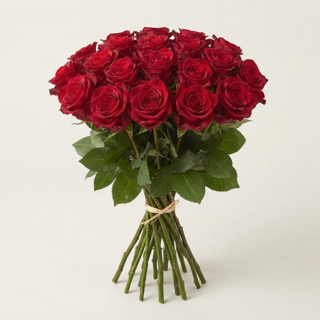 FeedSync:wholesale:0ea415376f3e1f59ad370b59a25e2fc15f313663
