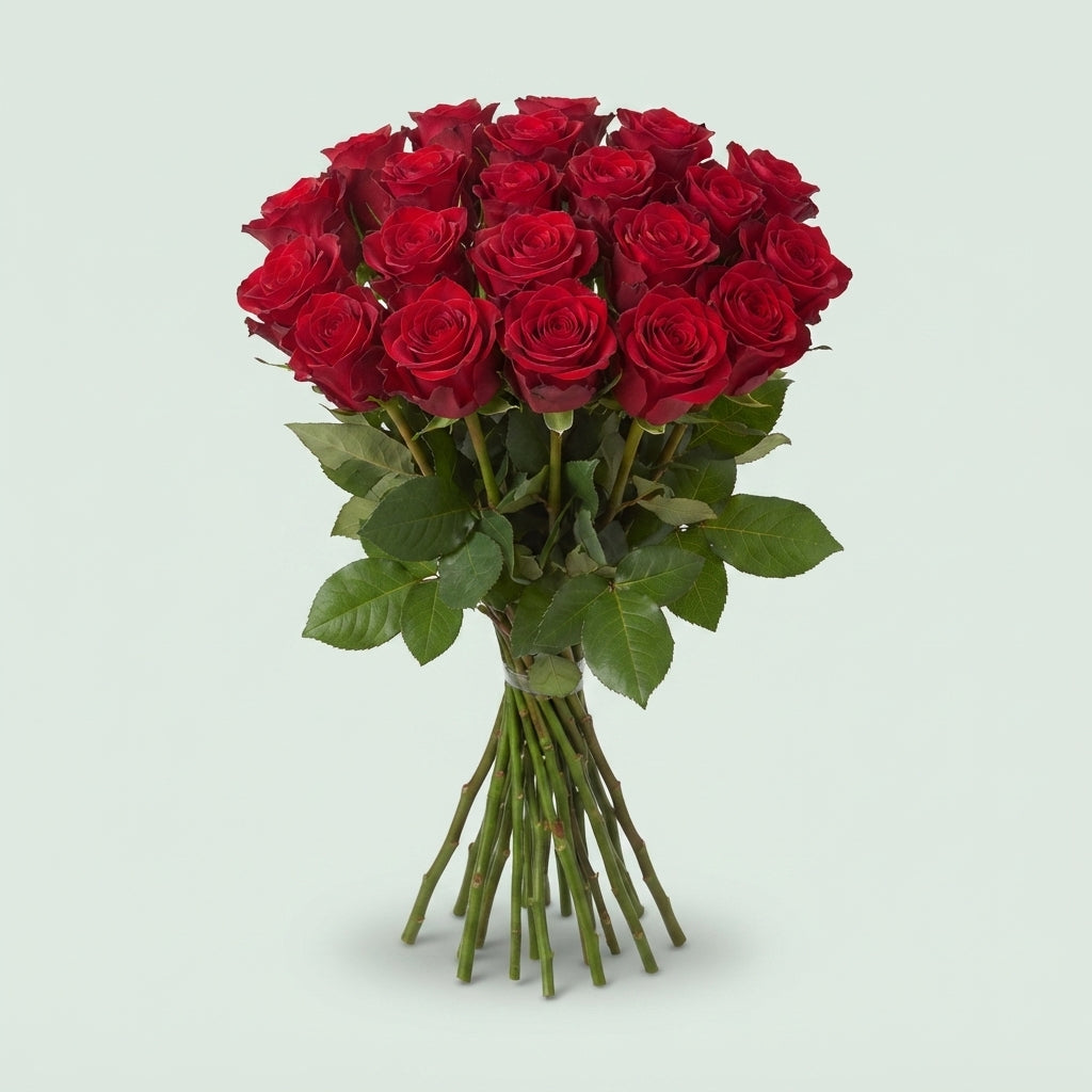 FeedSync:wholesale:e338630d4ed85f0aaaaca945bead75339d019a32