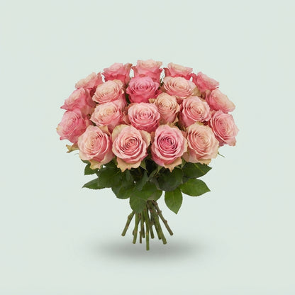 Rose - Rosa - Ramonda