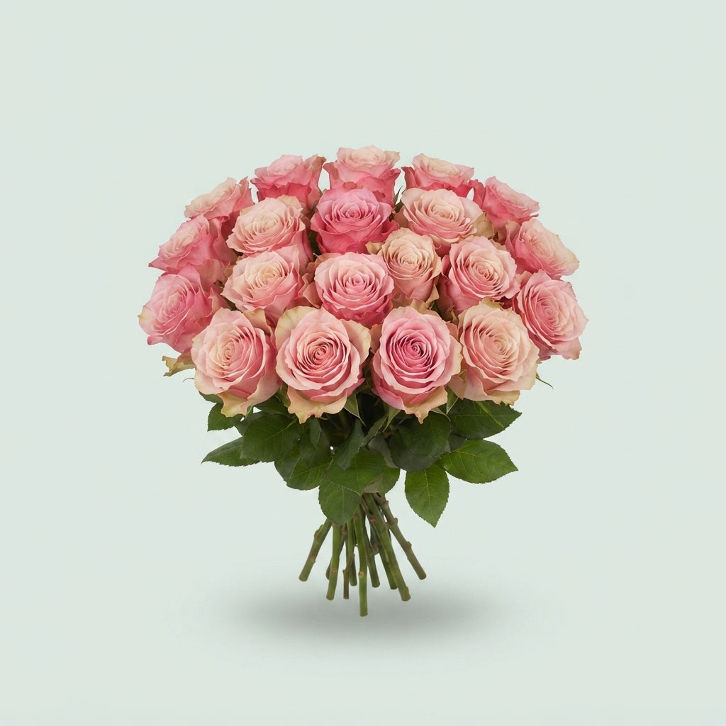 FeedSync:wholesale:b43899b2484fe4773ade6f47e06addb846826f55