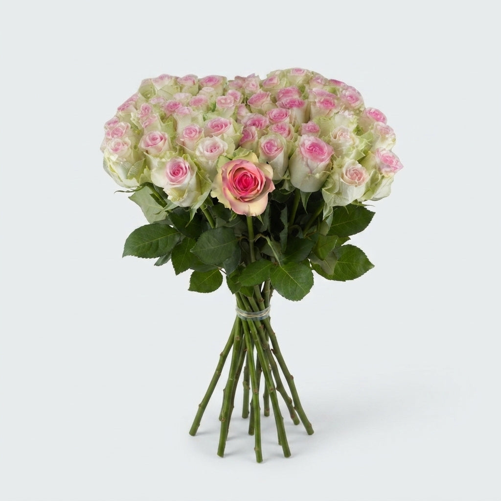 Rose - Rosa - Pink Journey