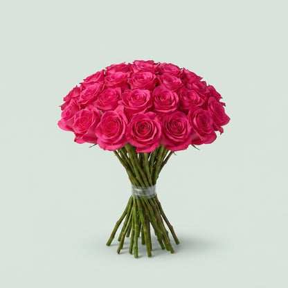 Rose - Rosa - Pink Floyd