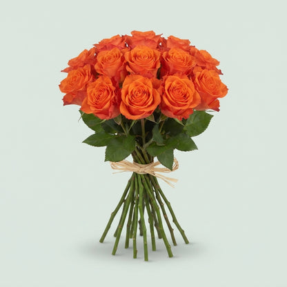Rose - Rosa - Orange Wave