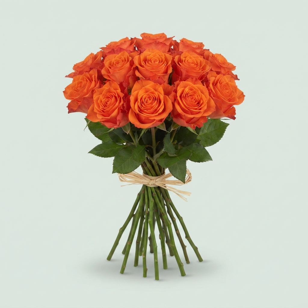 FeedSync:wholesale:728dd37e5d3b6334842f9263d178afd626030812