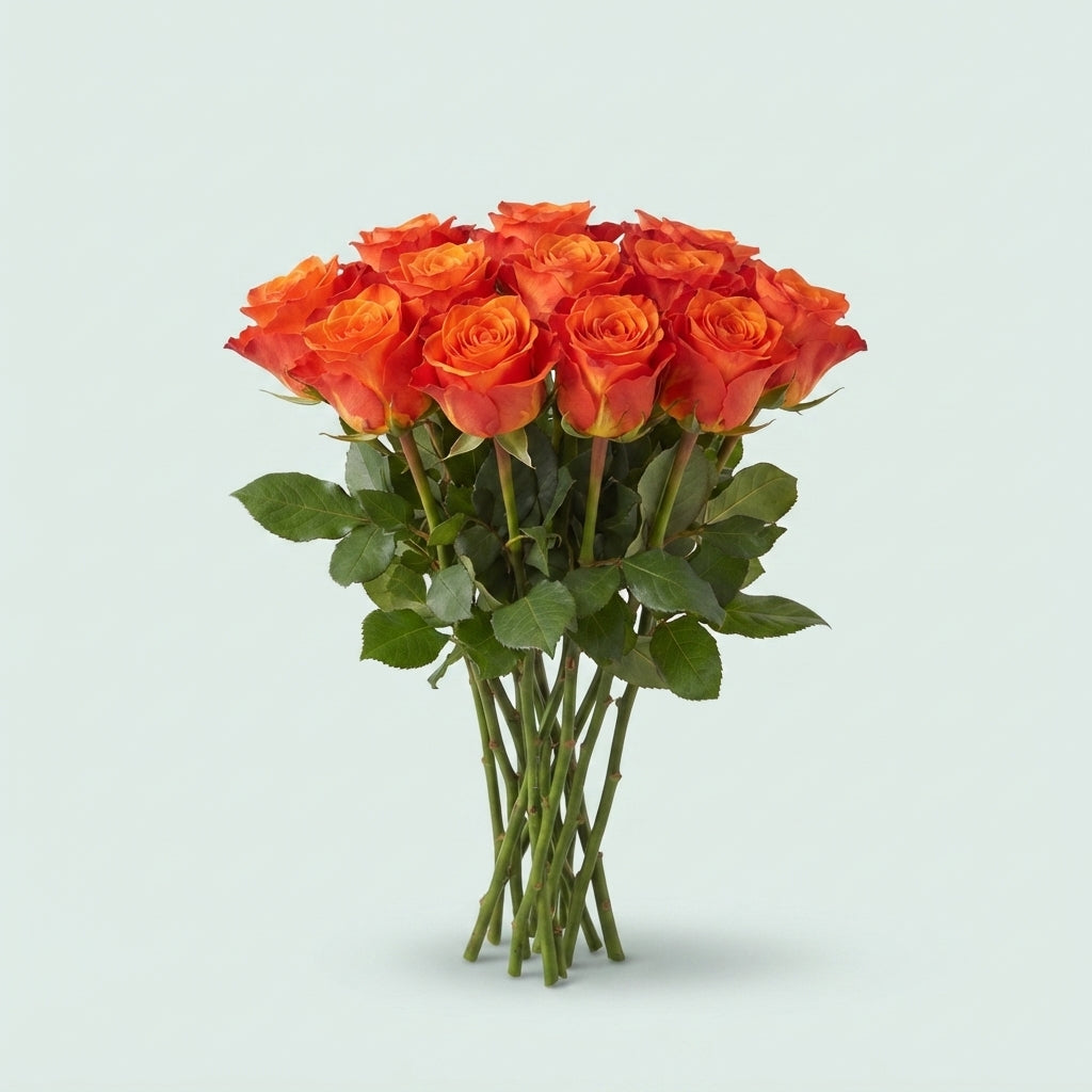 FeedSync:wholesale:c4abbb39bdc5557b518e3c1ce9c5a6f3d7be9532