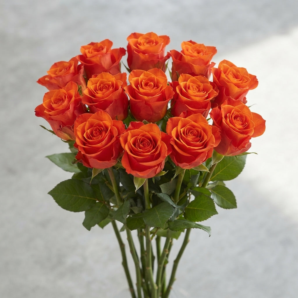 FeedSync:wholesale:743aa85c2c6bd463b7a18025d0dd3fb4d6a64332