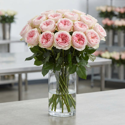 FeedSync:wholesale:8dbd9f28e03771b648c5220bdf6ddf7b6288016c
