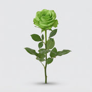 FeedSync:wholesale:3a60c7328f5f474cc1c7391df814c96369d3310a
