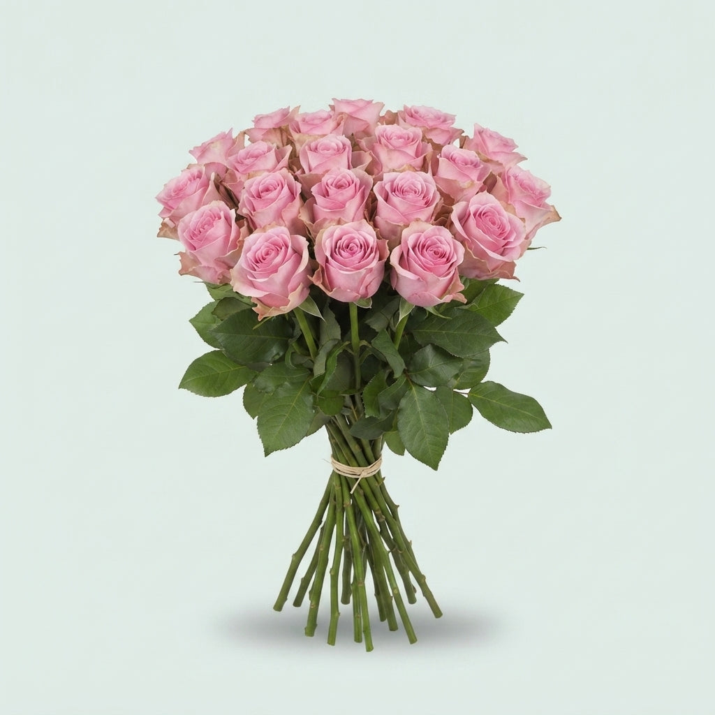 FeedSync:wholesale:c292e708fe1de55d41035cd5927cf9ac68c373d5