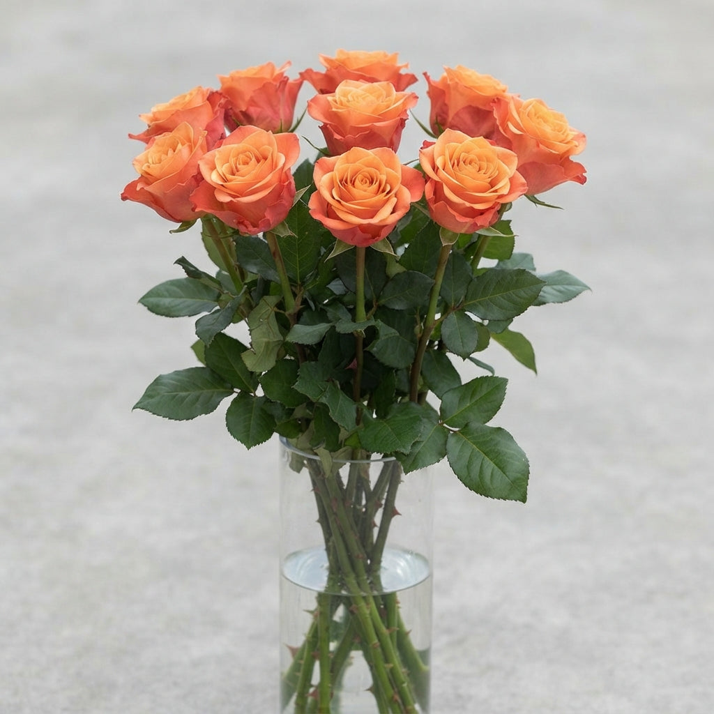 FeedSync:wholesale:82410bd42f0b46aceb181d62d04b8f30b81ff2c6