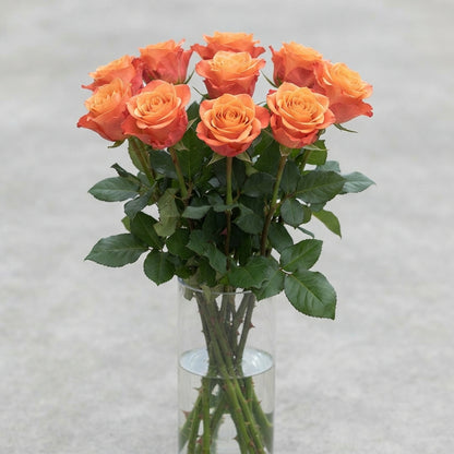 FeedSync:wholesale:82410bd42f0b46aceb181d62d04b8f30b81ff2c6
