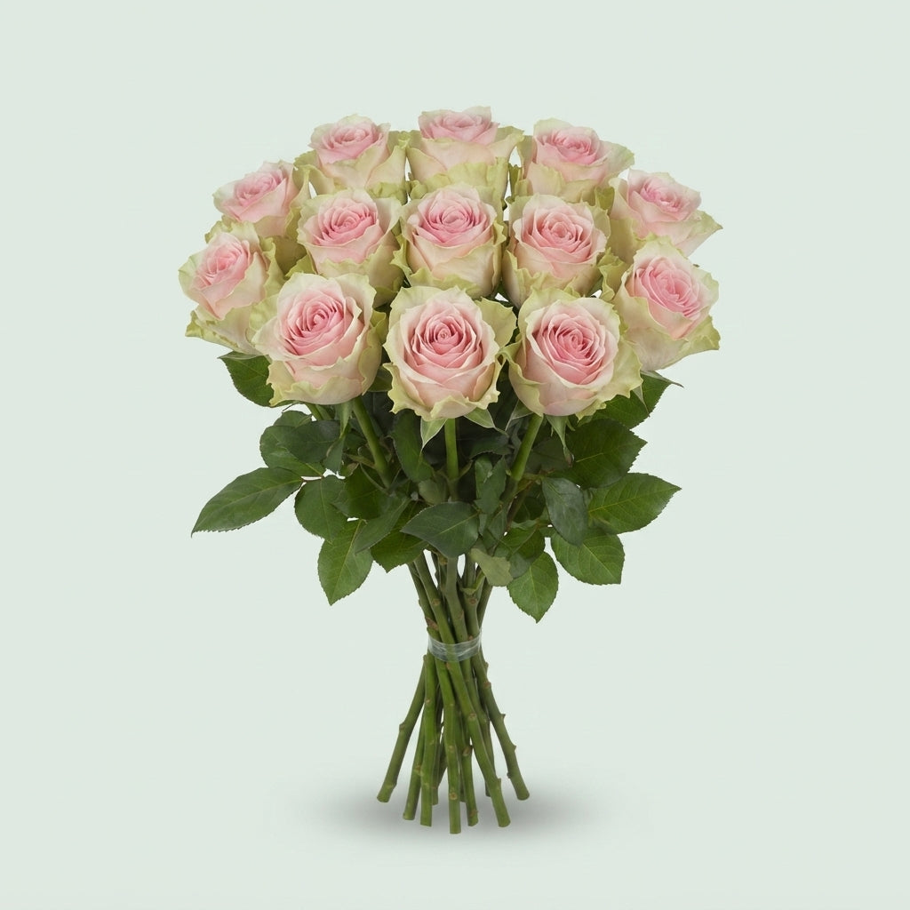 FeedSync:wholesale:c77daf48f06a0071a802276bf00e2db86d713d0b