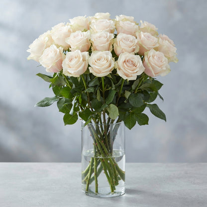 FeedSync:wholesale:45284707afc98a1a811972451efe1998452cbaac