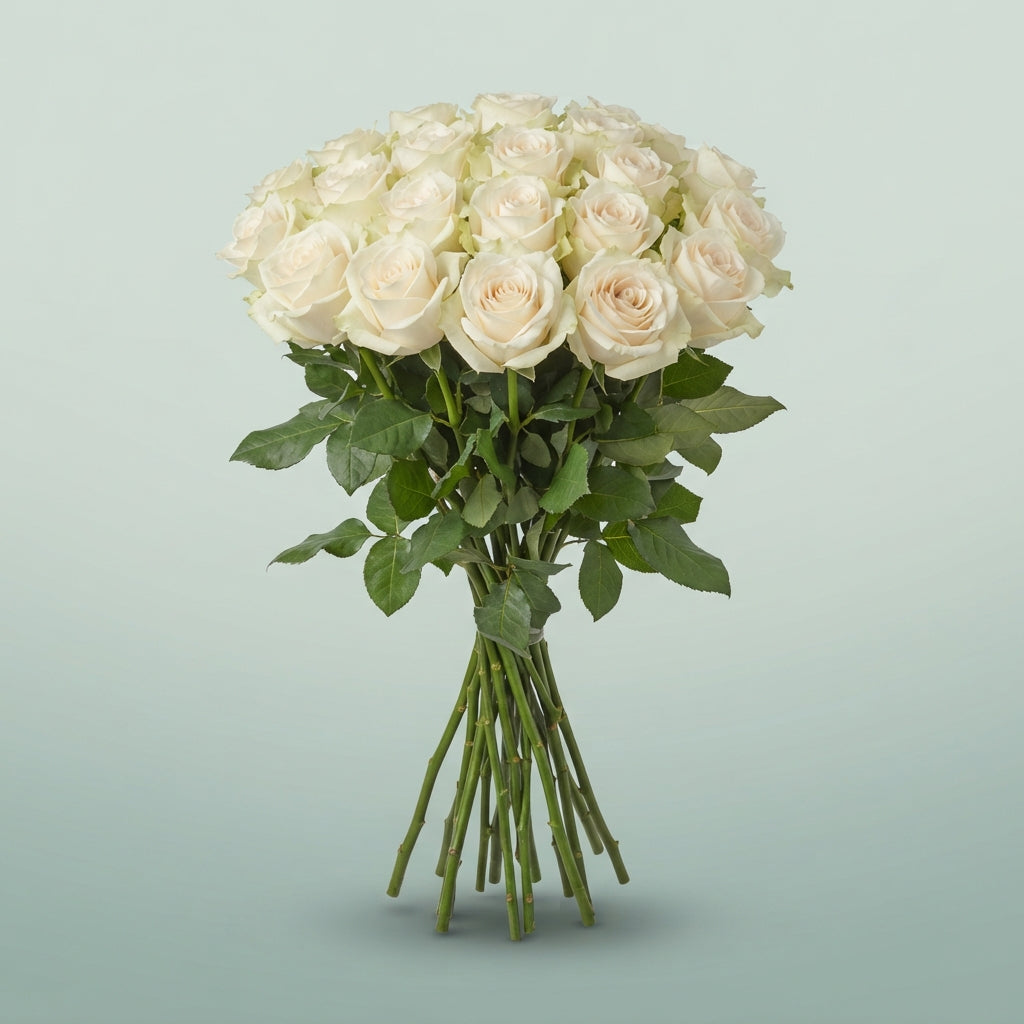 FeedSync:wholesale:f838e9a3f55c389899db9609ff944bbf27329edb