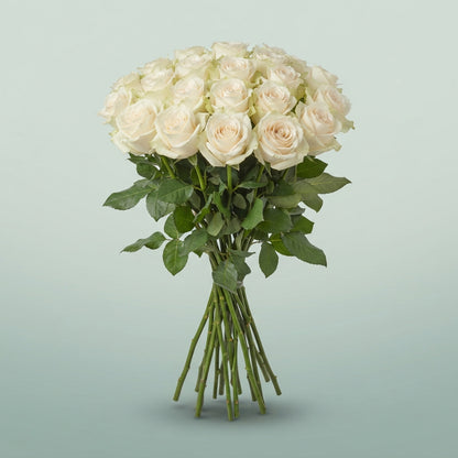 FeedSync:wholesale:f838e9a3f55c389899db9609ff944bbf27329edb