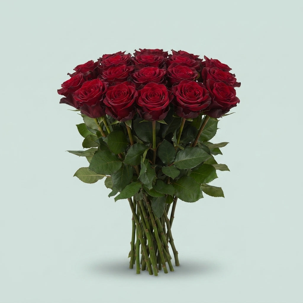 FeedSync:wholesale:32587a15493783d1c7ba7f0143a0f24053aed700