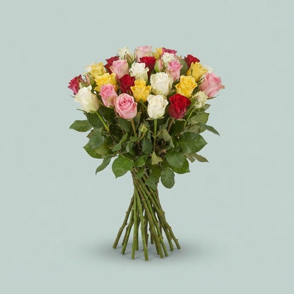 FeedSync:wholesale:9c079c1767bcb401948497c83a5f8d3c7b8801c5