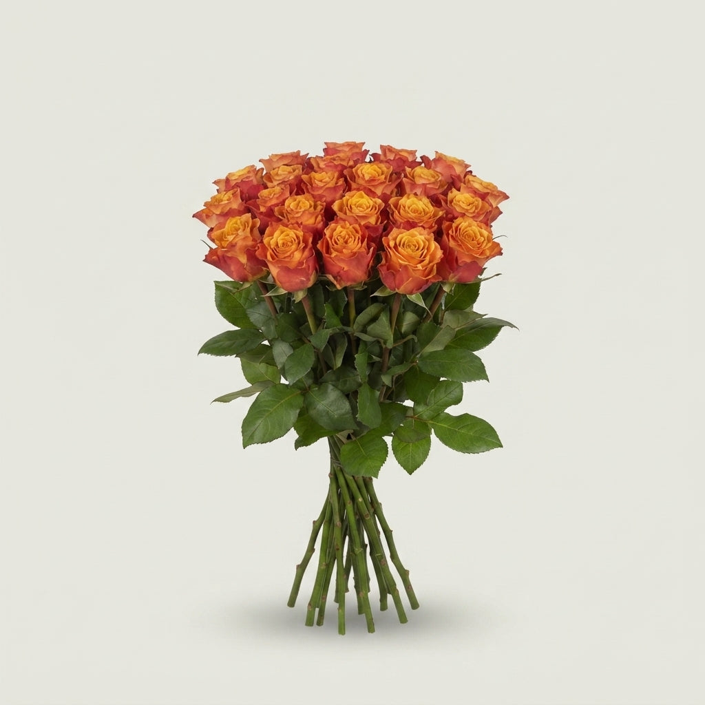 FeedSync:wholesale:a4e3b6f50482f9d20231ebf09f937315c85aab6d