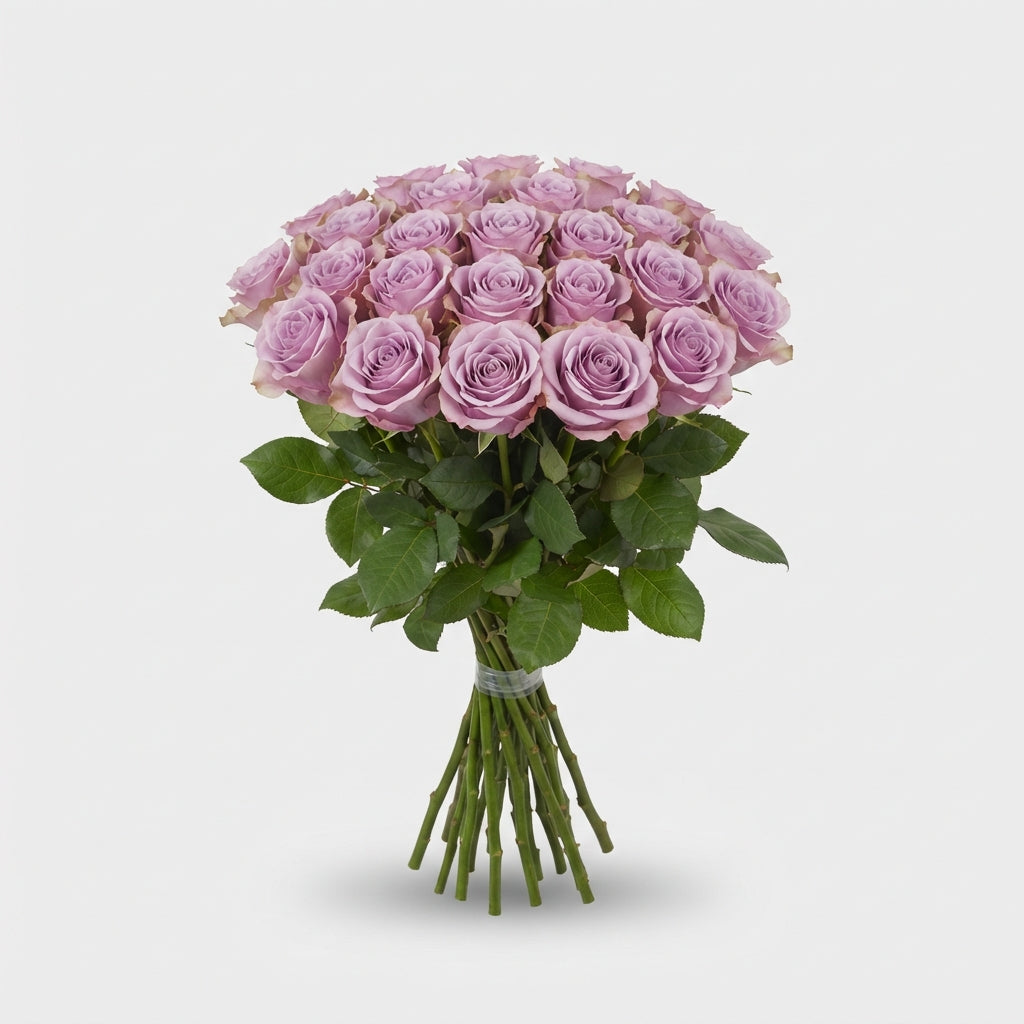 FeedSync:wholesale:012d0c38312b8de6771ad95f753109d6d4dc3170
